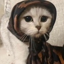 H.