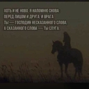 Чибис