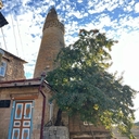 Птица-синица.