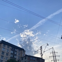 Африканский Слон