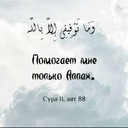 Уссурийский Тигр