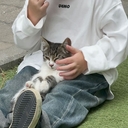 tim