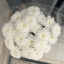 Финик
