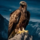Лек
