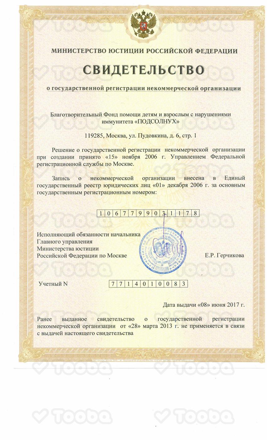 Свидетельство_ЕГРЮЛ.pdf, PODSOLNUH, page 1