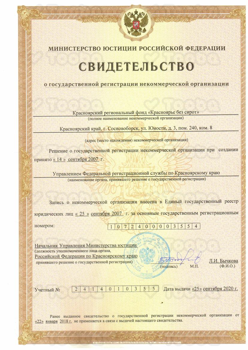 Свидетельство_НКО.pdf, Yellow Stork, page 1