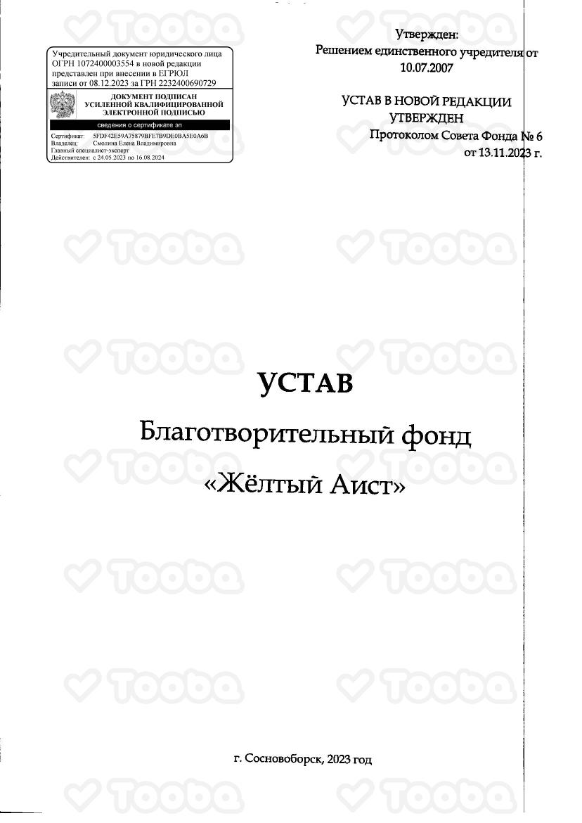 Устав_2.pdf, Yellow Stork, page 1