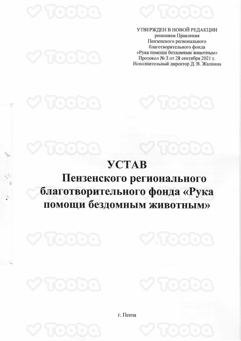 Устав_2021.pdf, Helping Hand for Homeless Animals, page 1