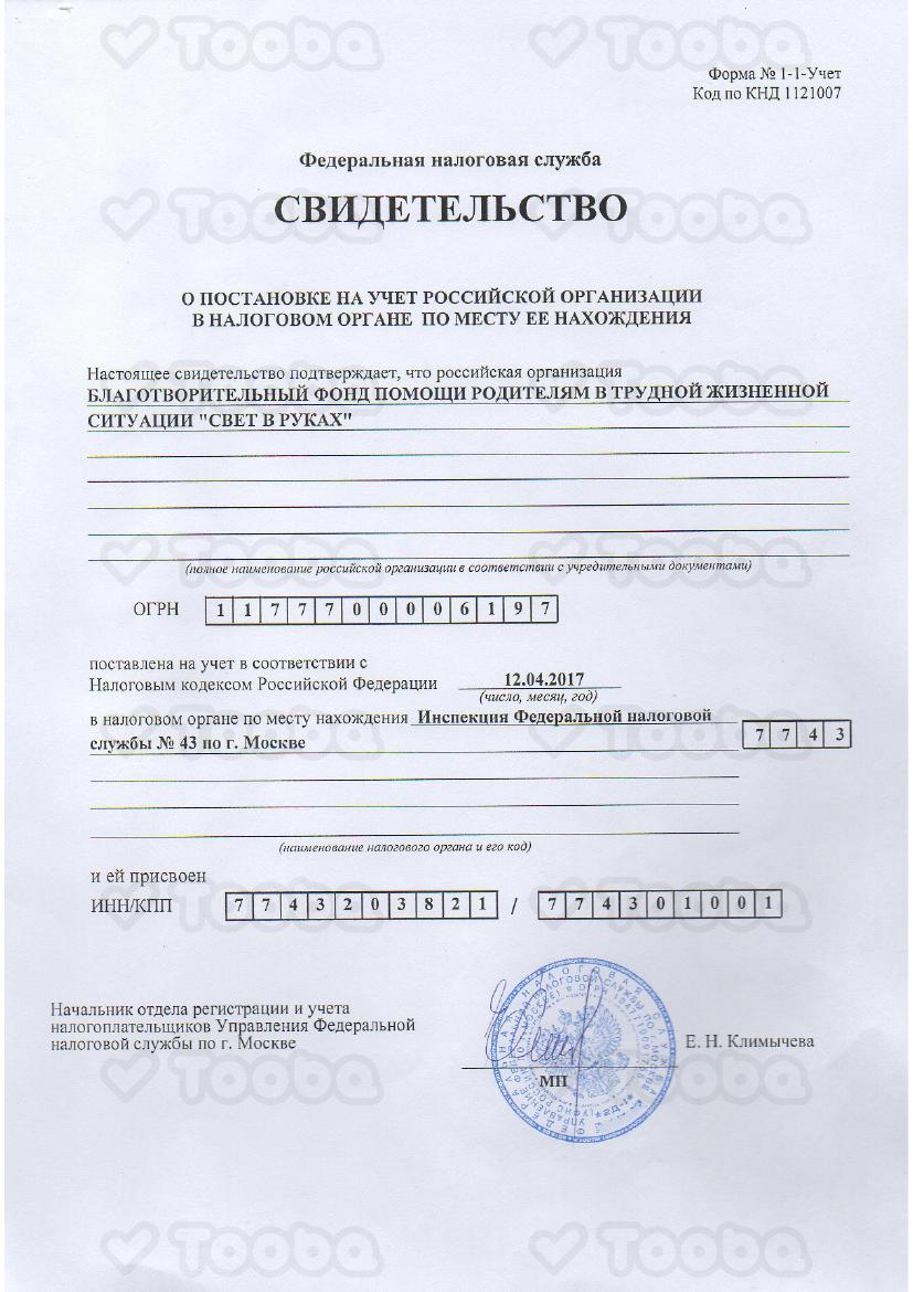 Копия_ИНН_Свет_в_руках.pdf, Light in Hands, page 1