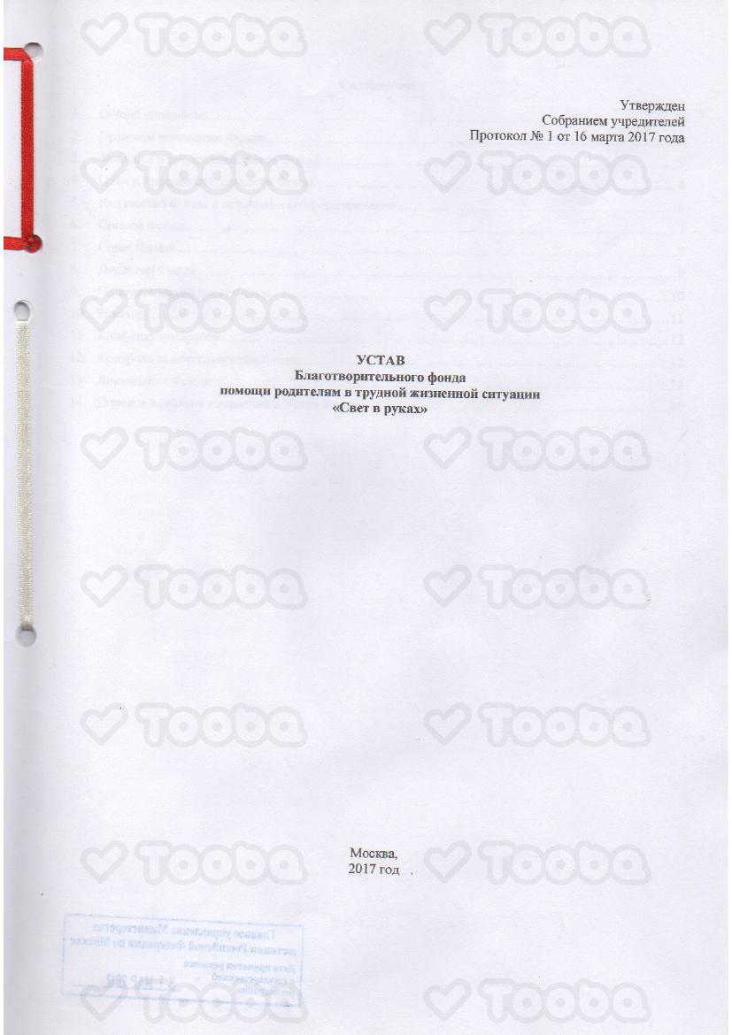Копия_Устав_Свет_в_руках.pdf, Light in Hands, page 1