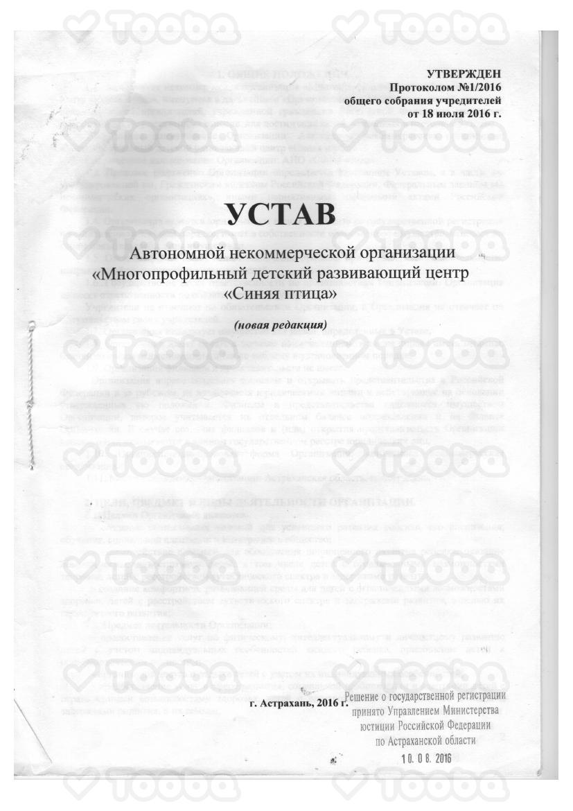 Устав_Синяя_птица.pdf, Blue Bird, page 1