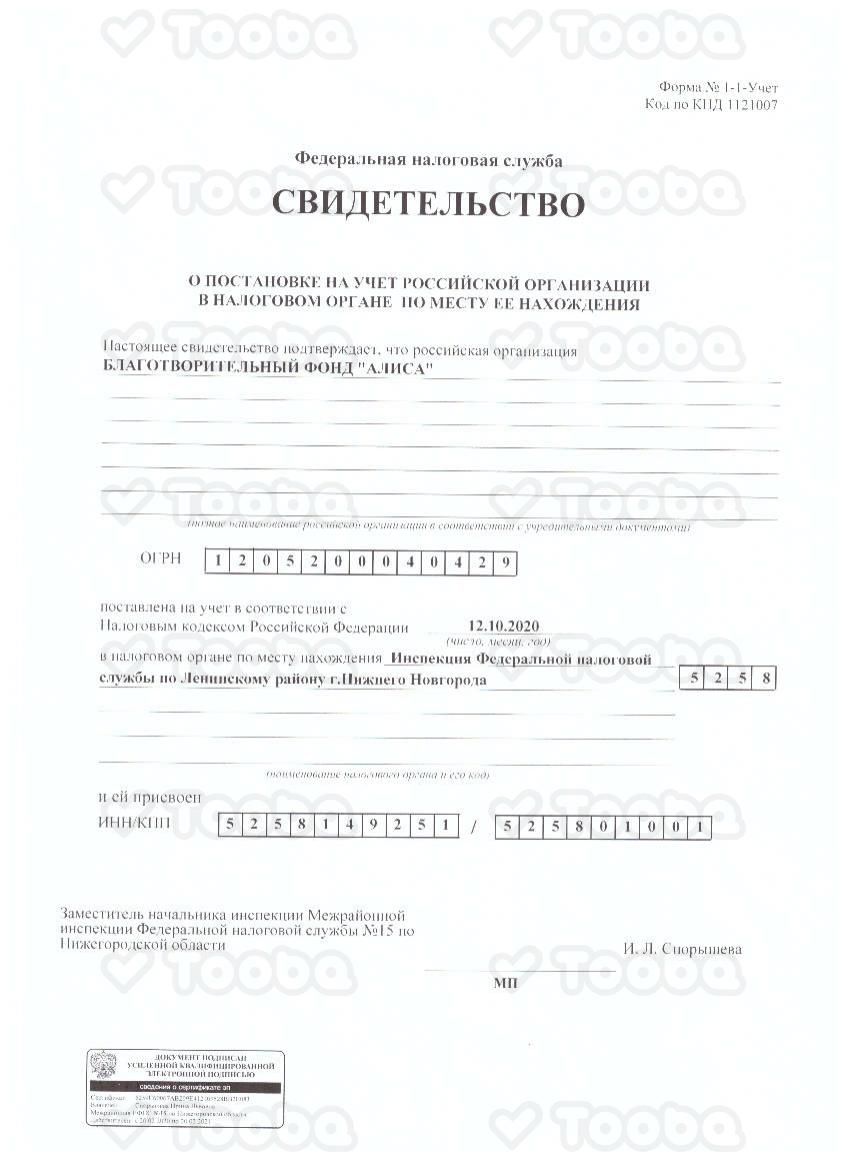 ОГРН.pdf, Alisa, page 1