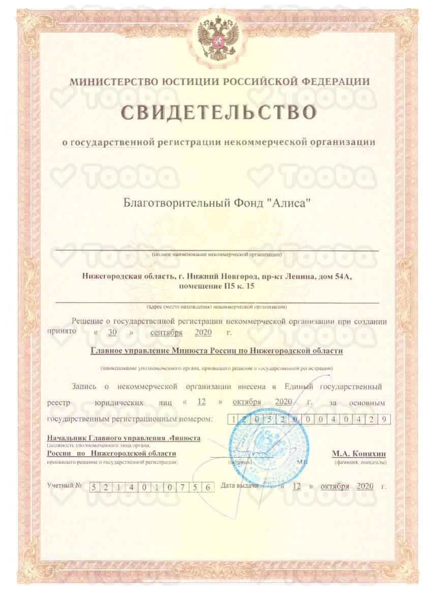 Свидетельство_о_гос_регистрации.pdf, Alisa, page 1