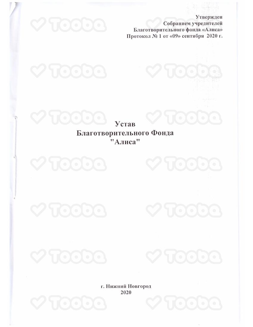 Устав_организации.pdf, Alisa, page 1
