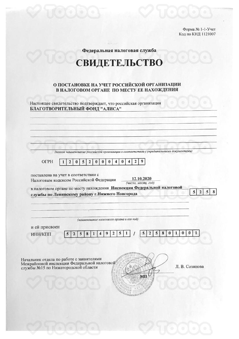 инн.pdf, Alisa, page 1