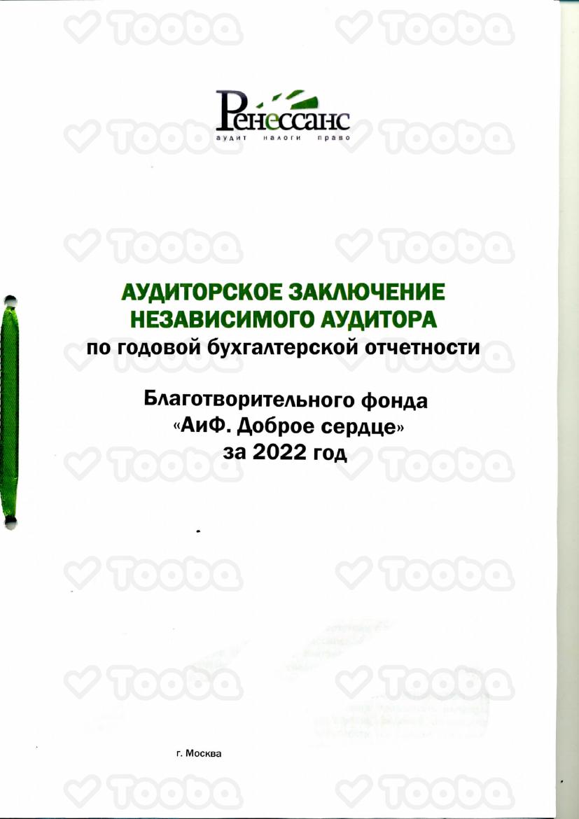 Аудиторское_баланс_ПЗ_2022_1.pdf, AiF. Dobroe Serdce, page 1