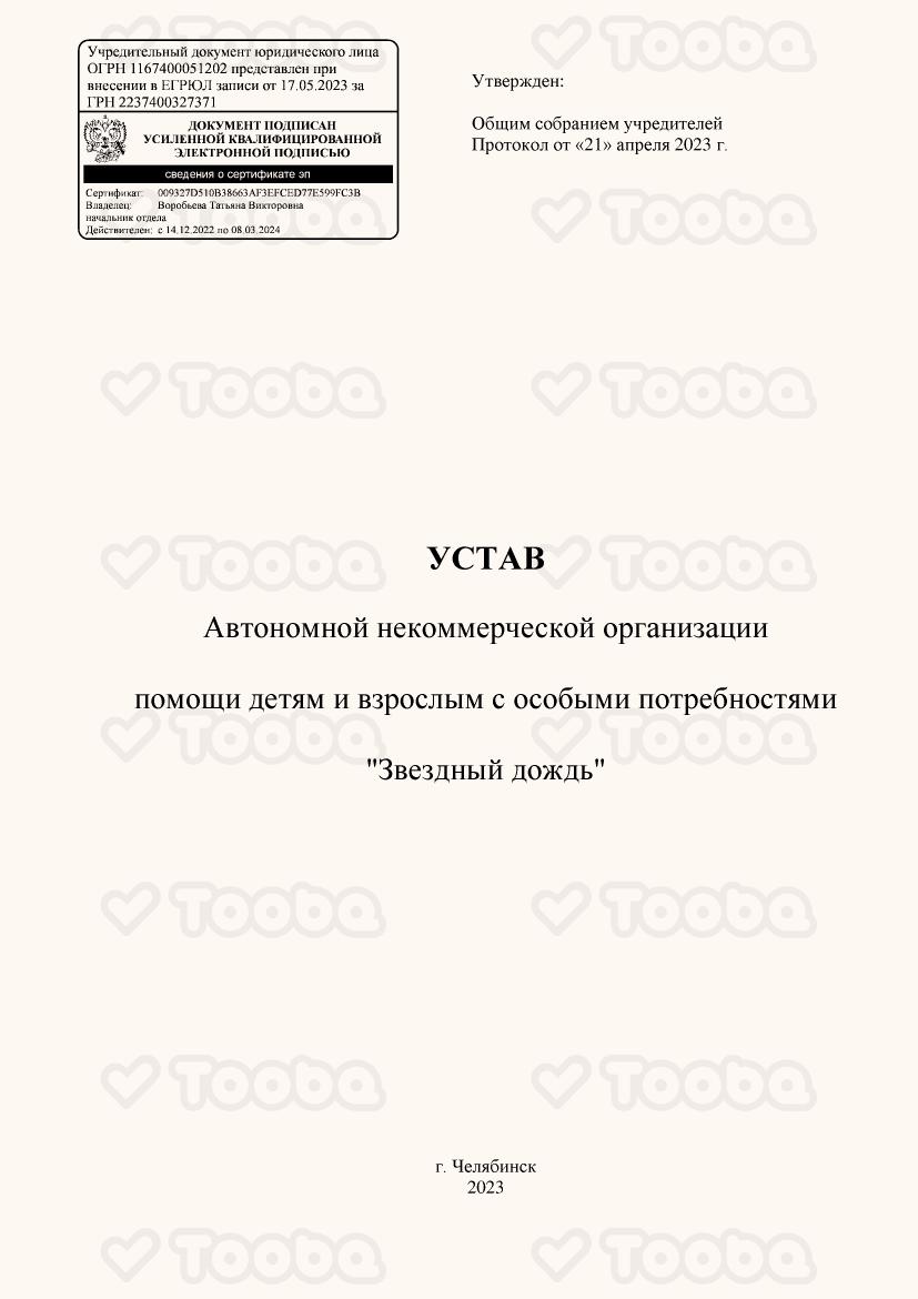 Устав фонда, Star Rain, page 1