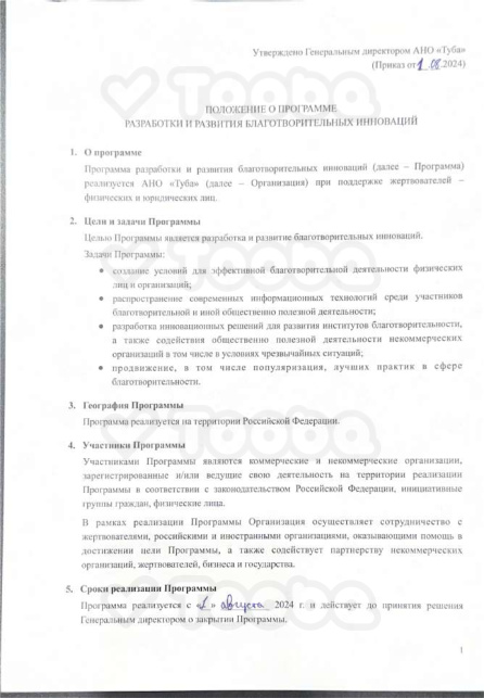 Программа некоммерческой организации, Tooba, page 1