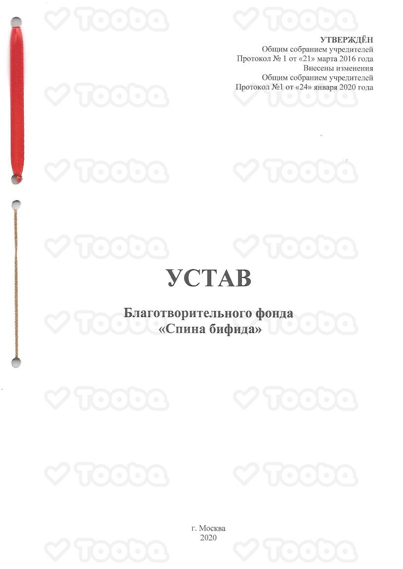 Устав_Спина_бифида.pdf, Spina bifida, page 1