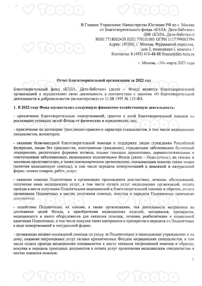 Отчет_благотворительной_организации_за_2022_г_опись_чек_Минюст.pdf, Deti-babochki, page 1