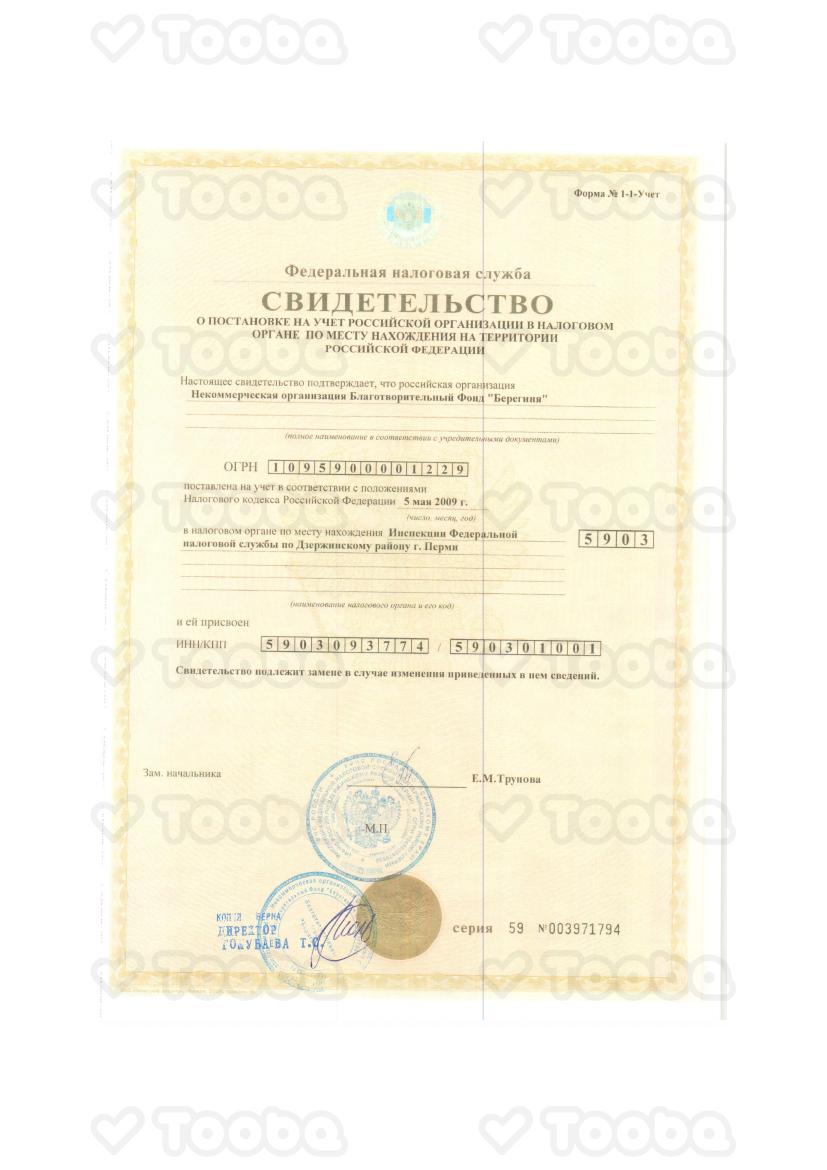 svidetelstvo_o_postanovke_na_nalogovii_uchet_149.pdf, Bereginya, page 1