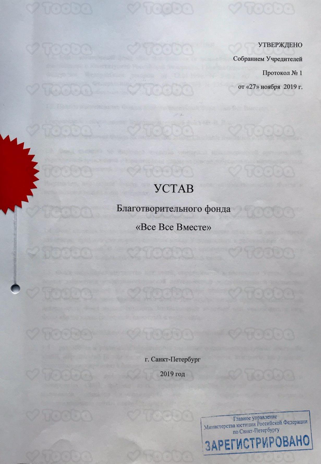 ustav.pdf, Vse Vse Vmeste, page 1