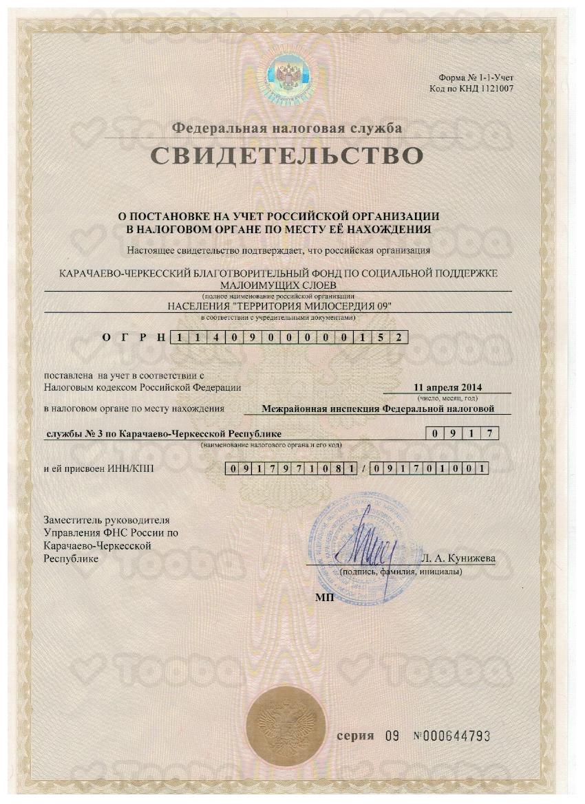 Свидетельство_о_регистрации_НКО_налоговая.png, Territoriya miloserdiya, page 1