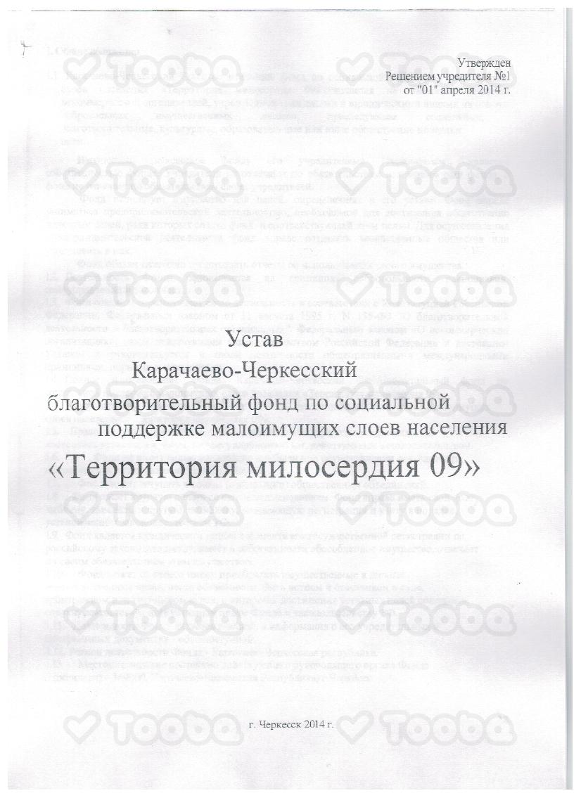 Устав_Территория_Милосердия.pdf, Territoriya miloserdiya, page 1