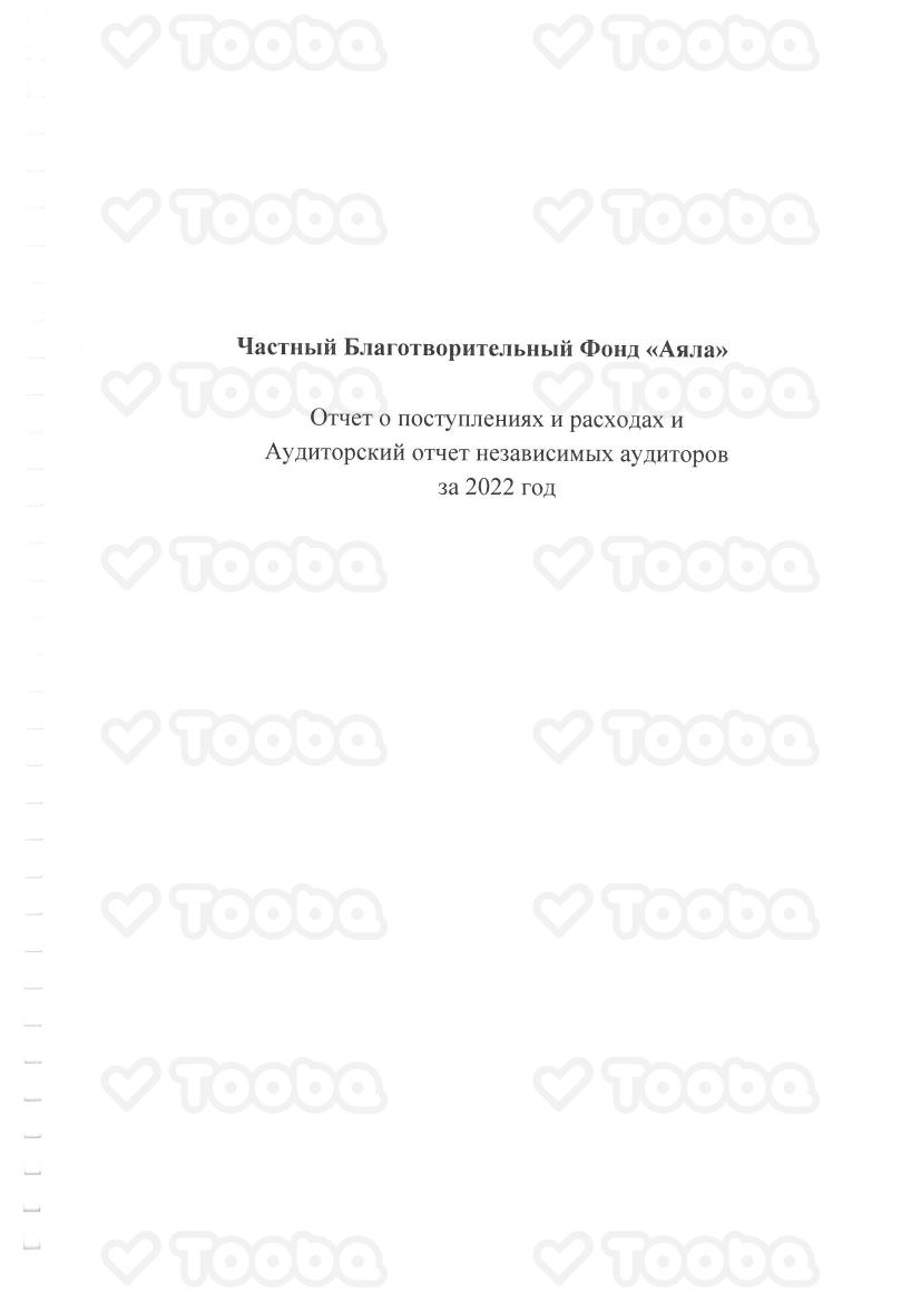 12._аудиторский_отчет_за_2022_год.pdf, Ayala, page 1