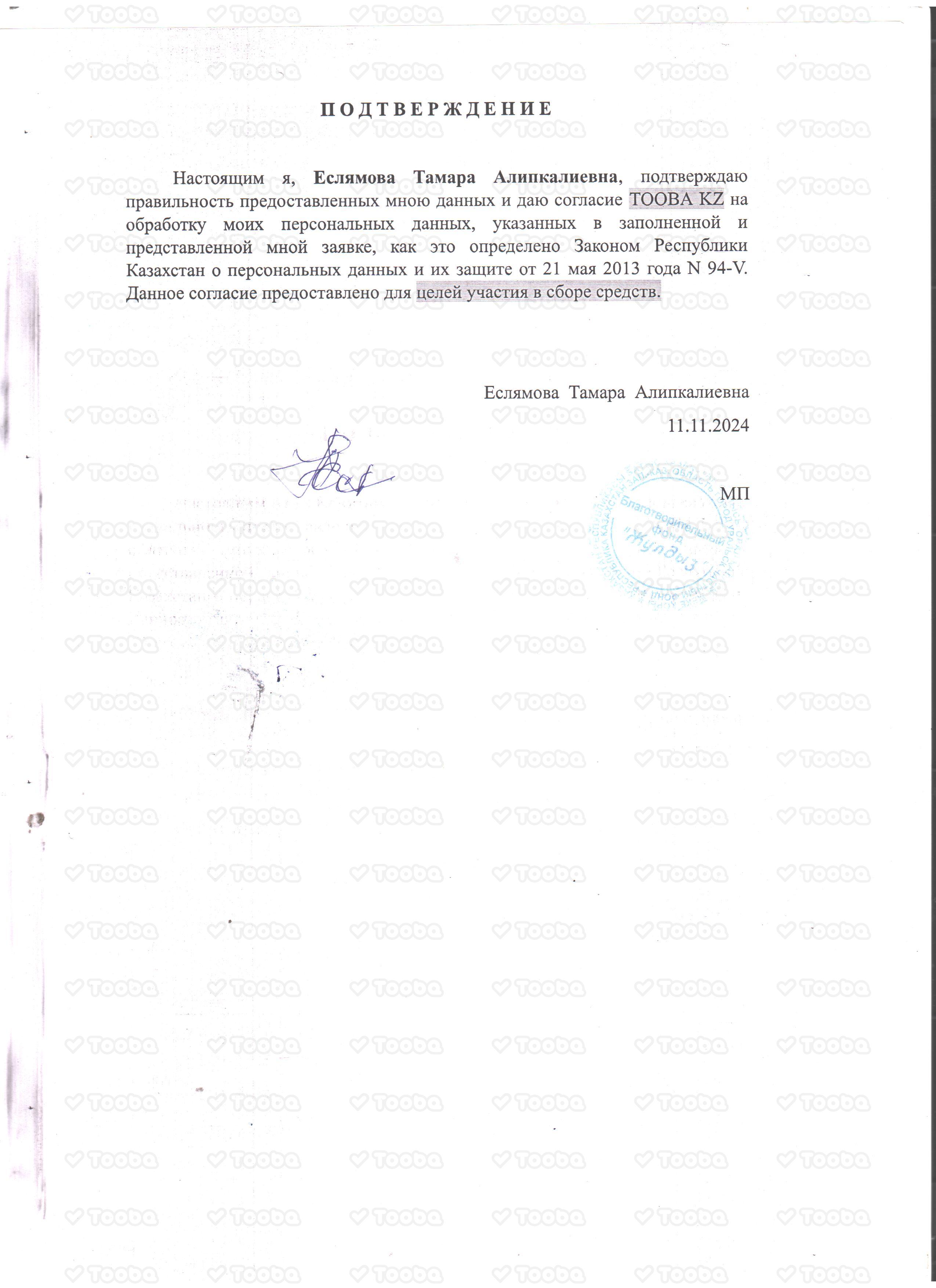 Подтверждение.jpg, Charity Fund "Zhuldyz", page 1