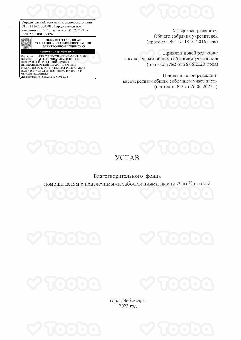 1._Устав_Фонда_им._Ани_Чижовой.pdf, Anya Chizhova Foundation, page 1