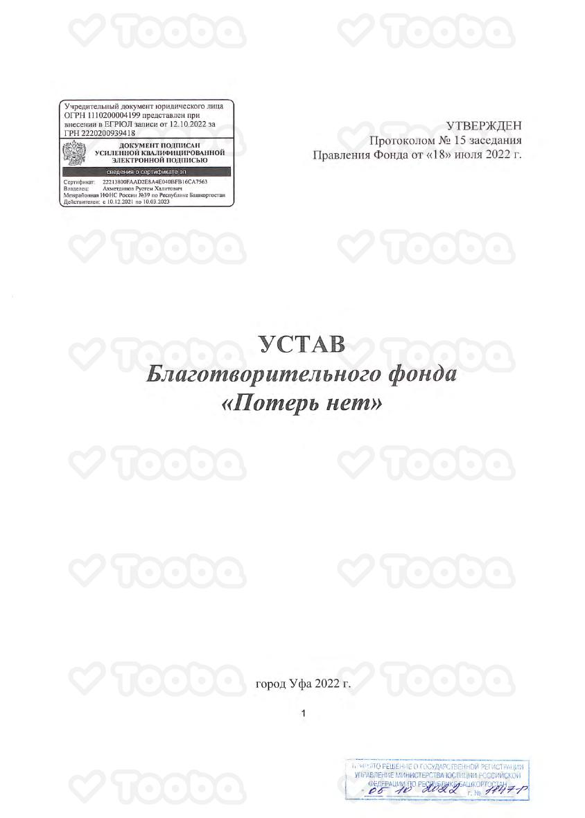 1._Устав_с_отметкой_ИФНС_1.pdf, Poter net, page 1