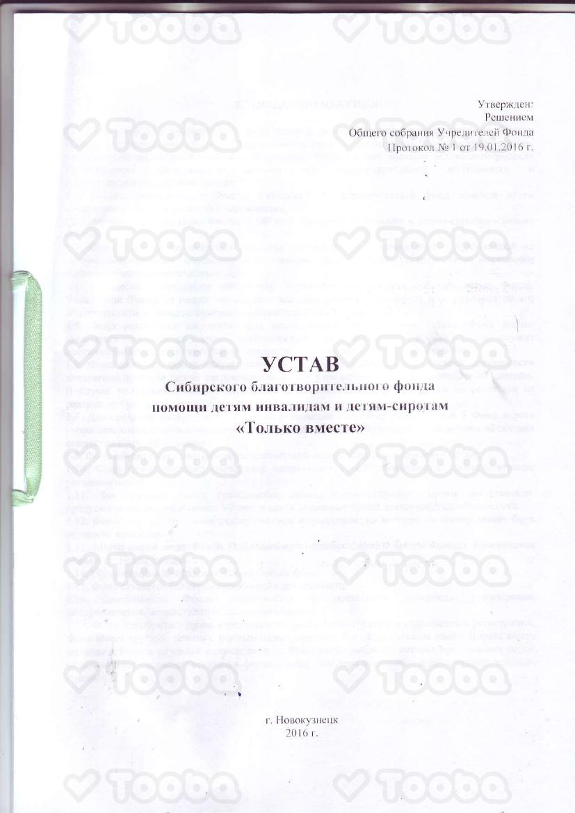 Устав__СБФ_Только_вместе.pdf, Tol'ko vmeste, page 1