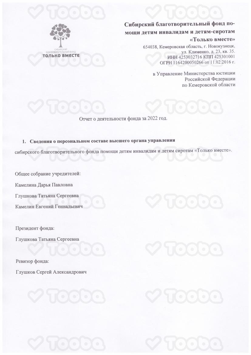отчет.pdf, Tol'ko vmeste, page 1