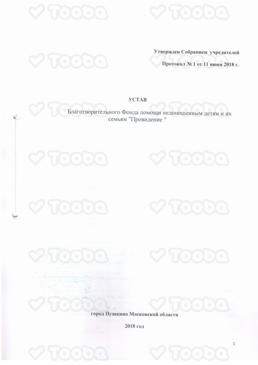 Устав_фонда.pdf, Providenie, page 1