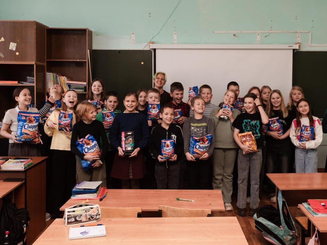 Поддержите «Уроки верности» для старшеклассников и студентов, чтобы научить их грамотно и безопасно помогать бездомным животным