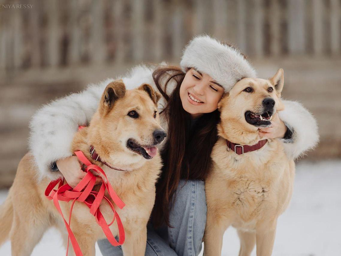 Tubers, let's make the shelter dogs happy with some much needed treats!