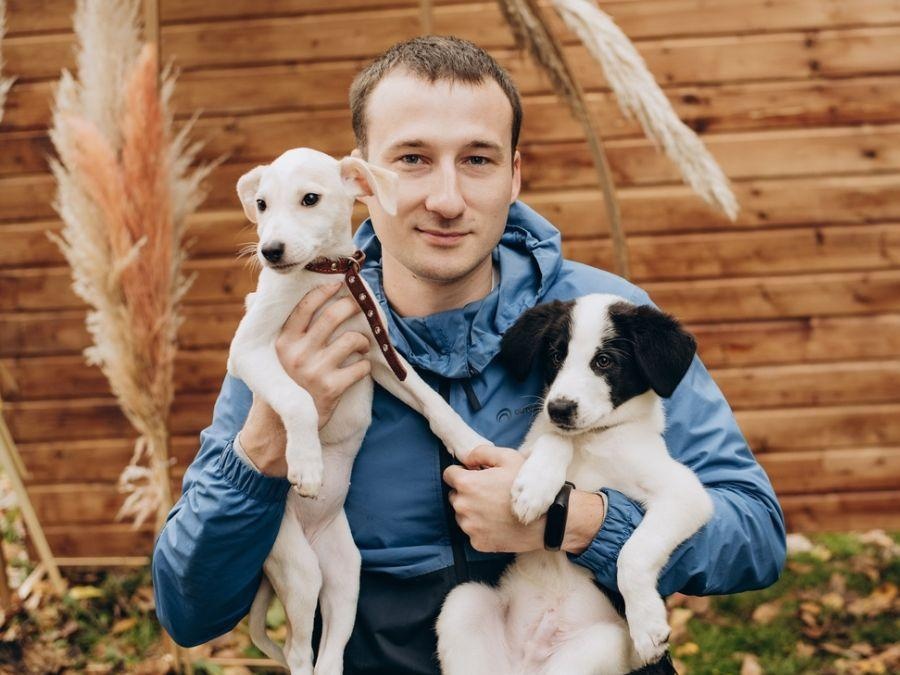 Поможем собакам в приюте социализироваться с кинологом!