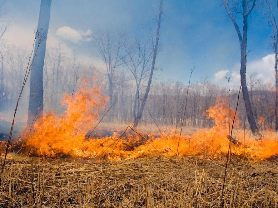 Lets help extinguish peat fires – collection for equipment that will help cope with the fire