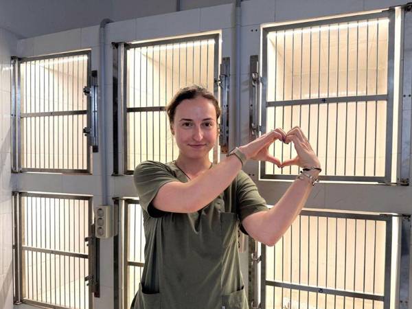 Поможем открыть блок интенсивной терапии в приюте – нужны средства на изготовление 9 конструкций вольеров!