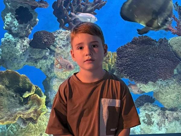 У Арслана ЗПРР с аутистическим спектром. Для улучшения умственных и речевых навыков ему необходима помощь специалистов