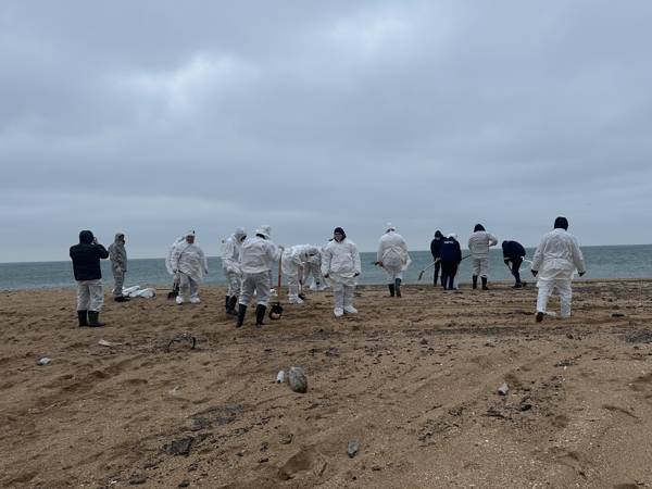 Необходимо питание для волонтеров, очищающих Черноморское побережье от мазута!
