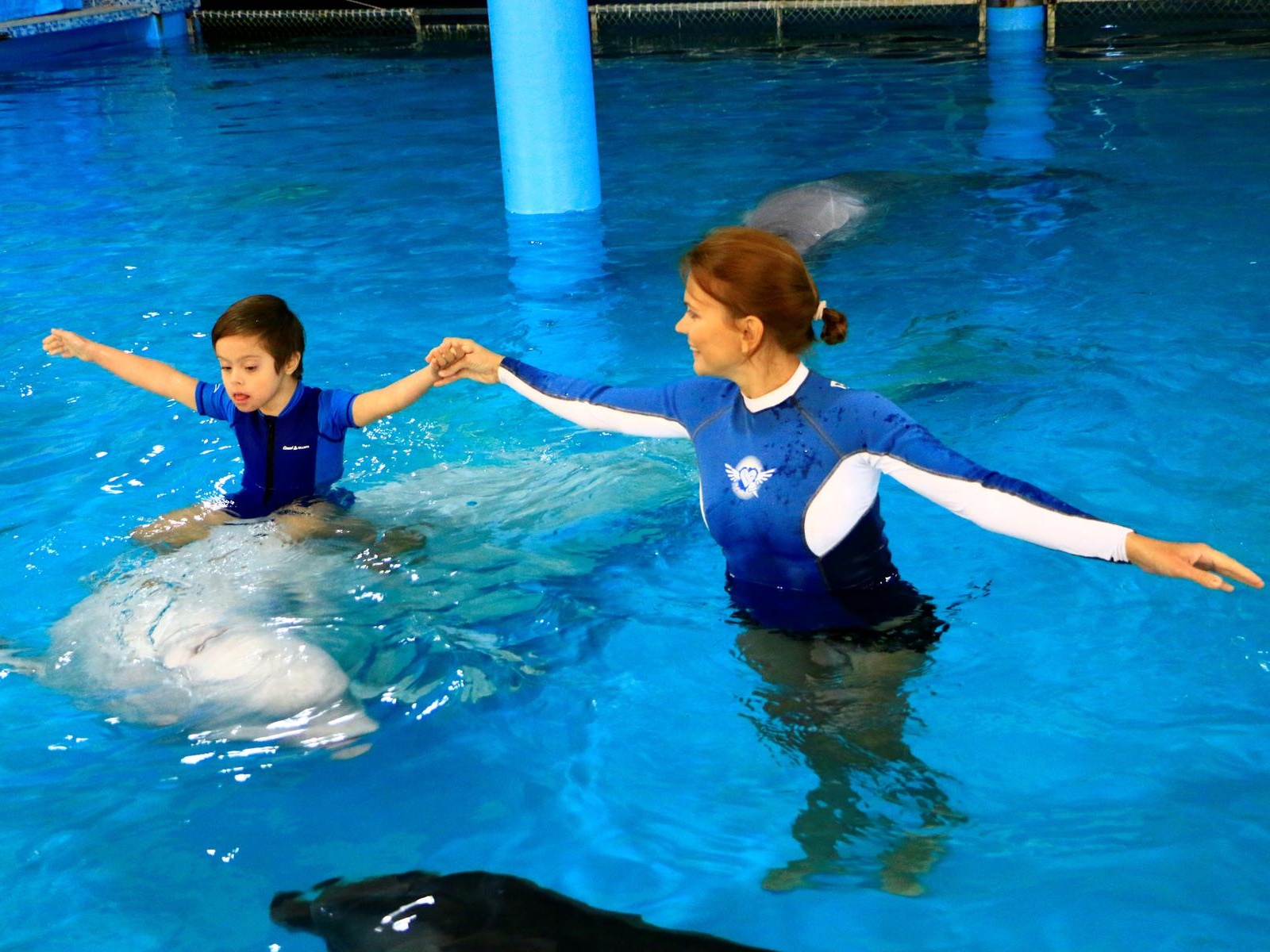 We will help disabled children to take courses of dolphin therapy