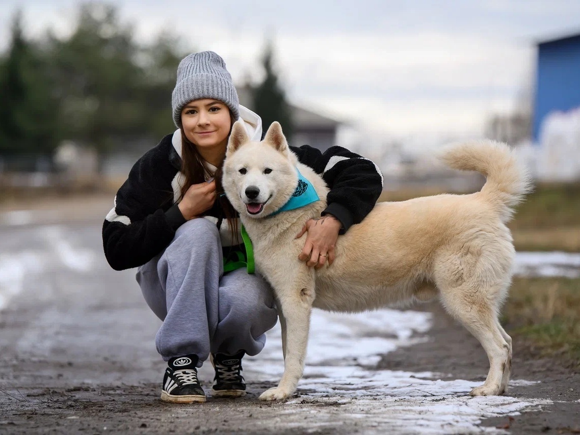 Dogs in shelters need tick prevention treatments