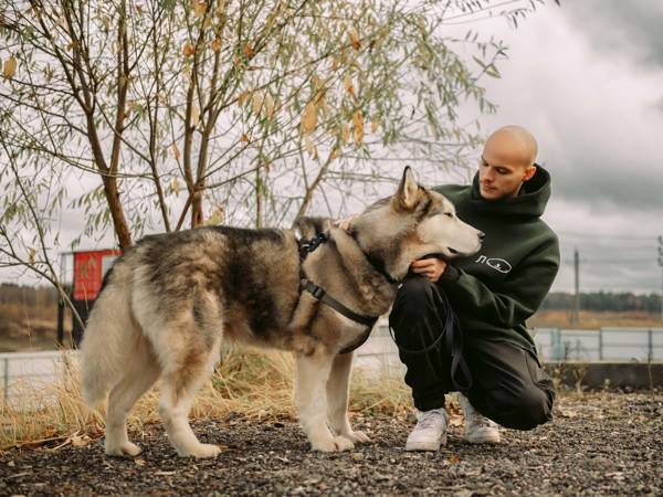 Help the foundation to purchase two-way radio for the trapping brigade of animals so that the team is always in touch!