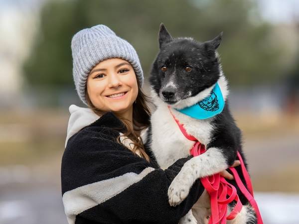 Friends, please help pay the bill for the treatment of 5 shelter dogs