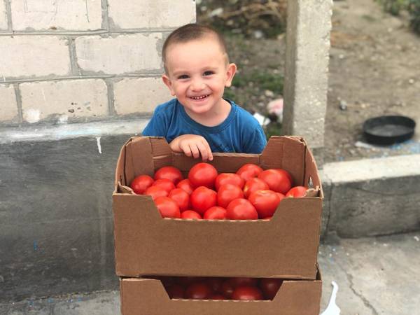 227 wards of the Foundation need food aid