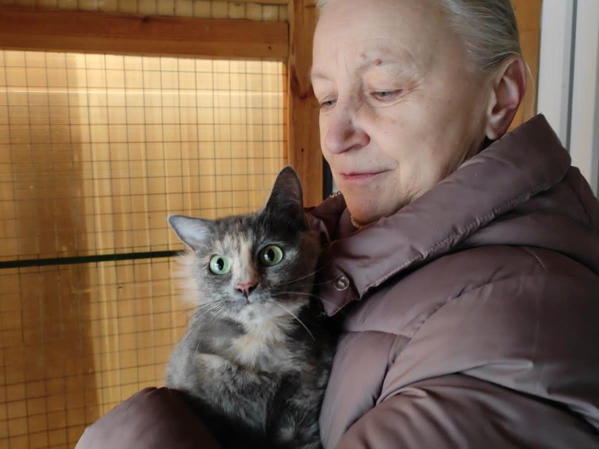 У кошки Мамашки опухоль в ушном проходе. Ей необходима операция по ее удалению