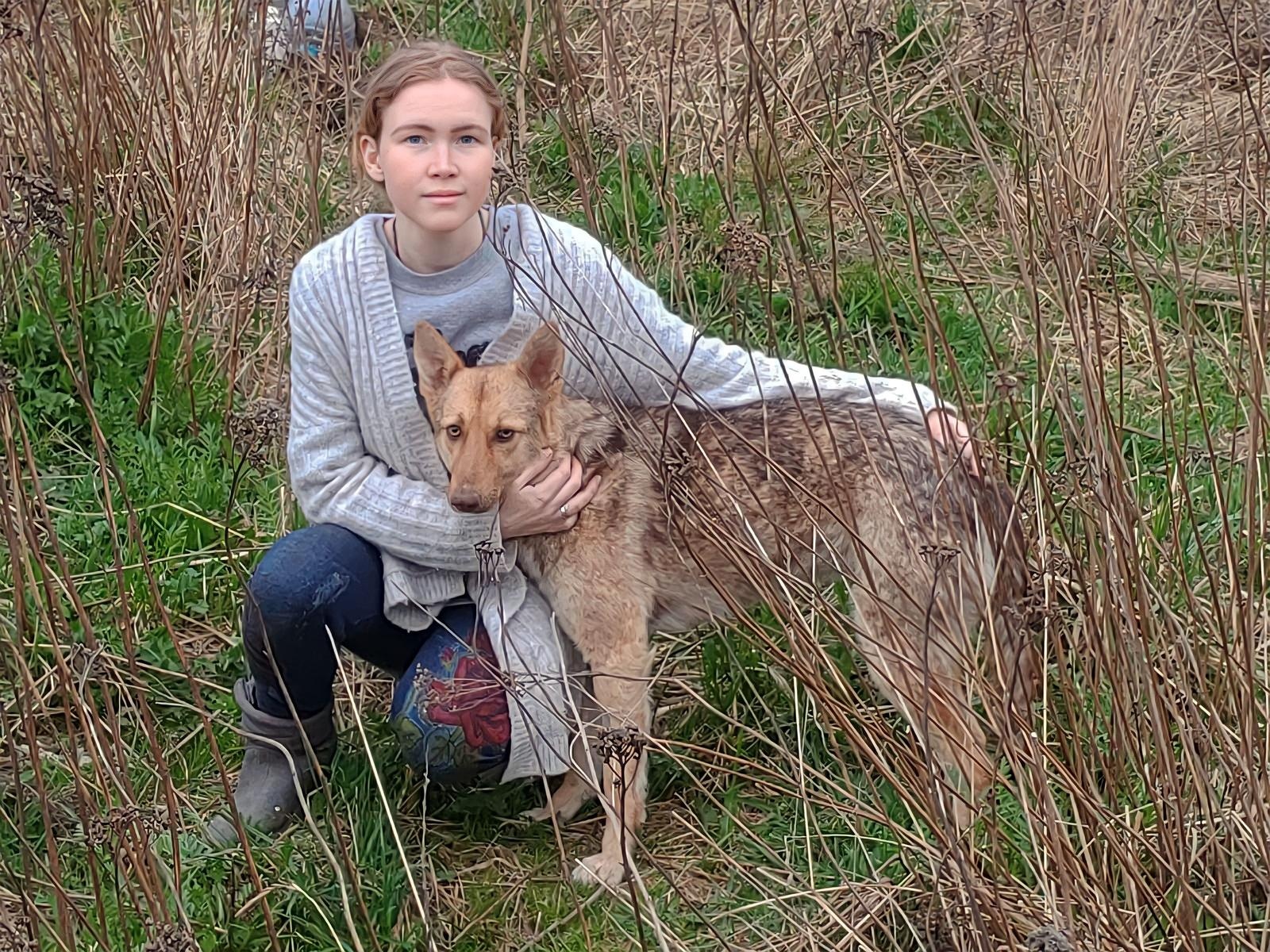 Приют нуждается в запасе 40 кг  лечебного корма для своих подопечных
