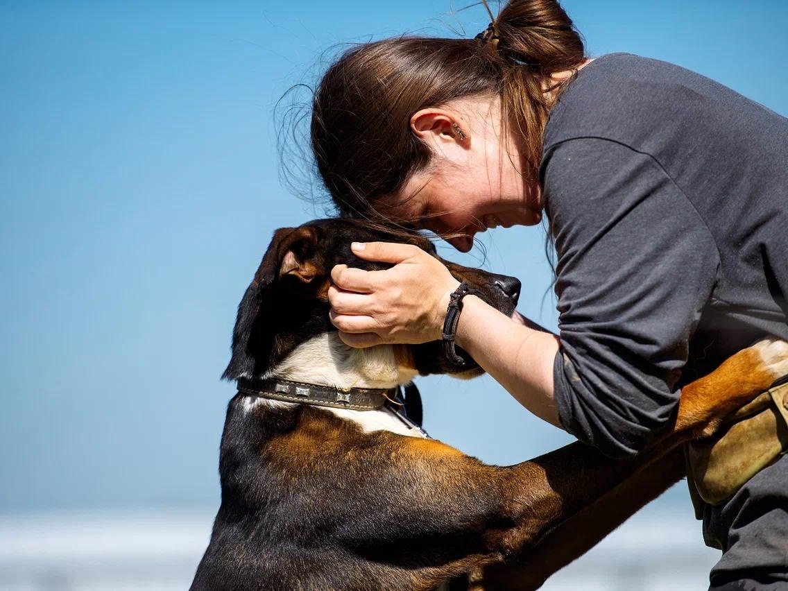 The Fund for Animals Affected by Human Hands Needs 1 Ton of Feed!